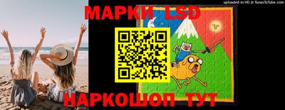 дмт Будённовск