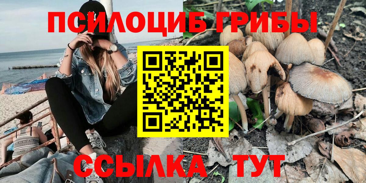 Псилоцибиновые грибы мицелий Электрогорск
